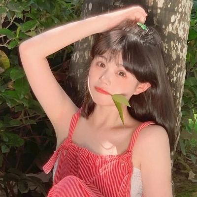 兰空voez典藏版九游版下载